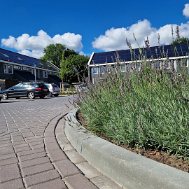 Trottoirband 13/15x25 bocht R=0,45 uitw