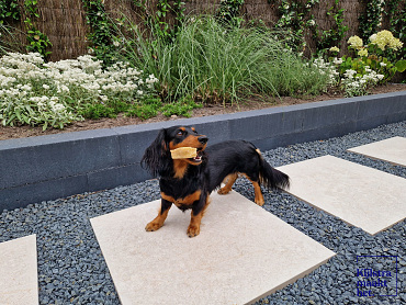 SolidSquare keramisch 60x60x3 cm limerock greige