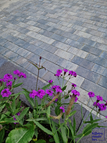 Patio brick 6 cm ocean TOP komo