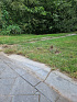 Profielverloop vlak > RWP 7/20x20